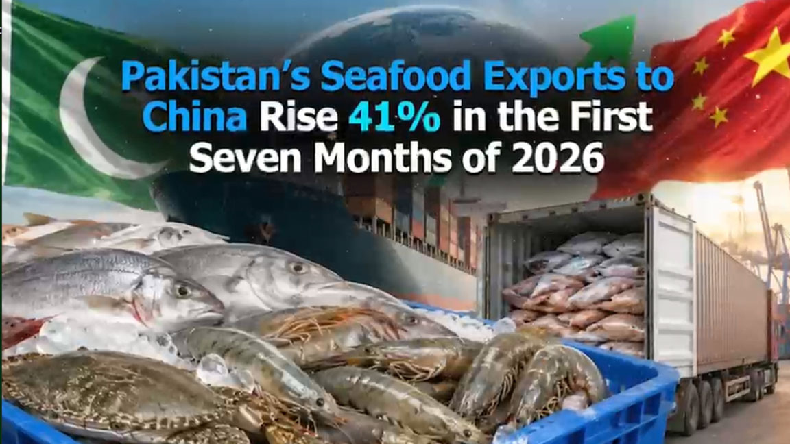 Pakistan&rsquo;s seafood exports to China surge 41% in first seven months